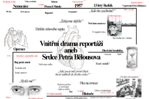 ZFAM_Matějková_Vnitřní drama reportáží aneb Srdce Petra Bělousova